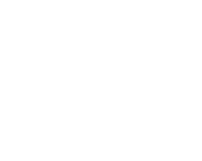 Lee Media Group