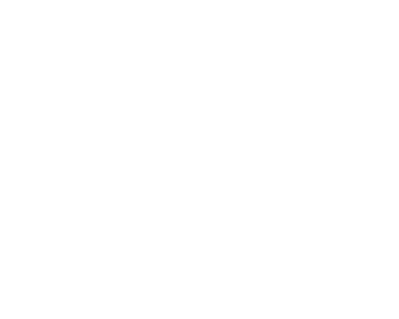 Scheels