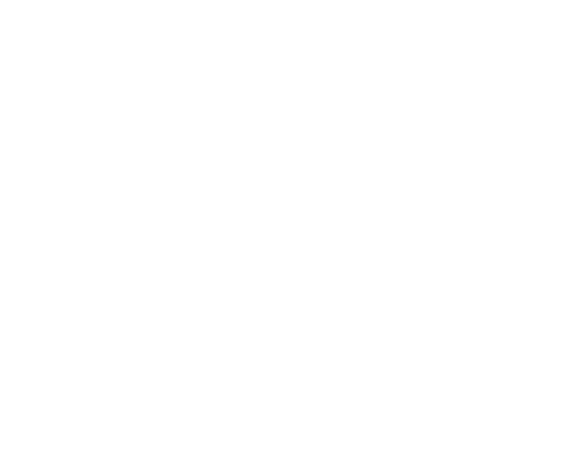 Leadfoot Express